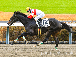 ダノンロッキー号