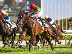 キシダンチョウ号