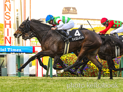 マイエレメント号