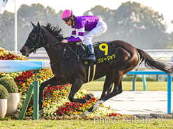 リリージョワ号