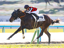 マゲバスピード号