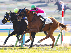 オメガナビゲーター号