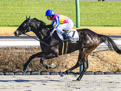 レディーフランシス号