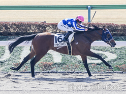 リアライズタキオン号