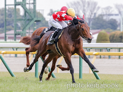 レッドバンデ号