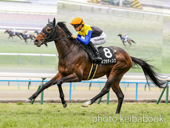 ネブラディスク号