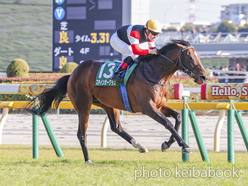 スティンガーグラス号