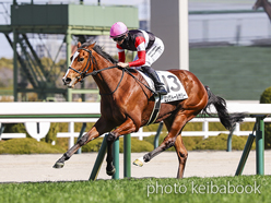 ロングトールサリー号