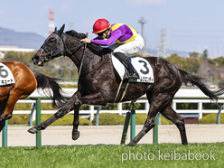 ファームツエンティ号