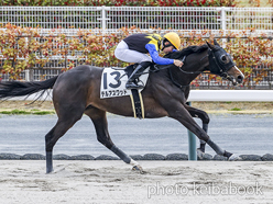 テルアスワッド号