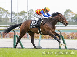 テーオーアルアイン号