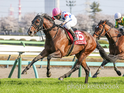 SELECT SALE GRADE RACE WINNER