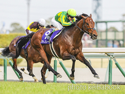 SELECT SALE GRADE RACE WINNER