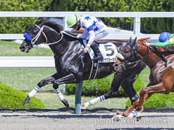チュウワカーネギー号