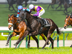 ファームツエンティ号