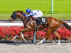 スリーピース号