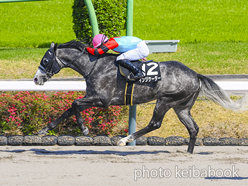 インジケーター号