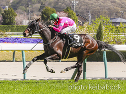 ビップチェイス号