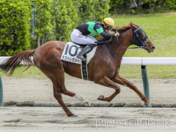 ラストレガシー号