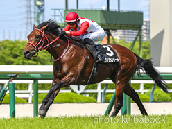 Kafuji Emmental