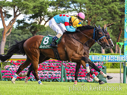 SELECT SALE GRADE RACE WINNER