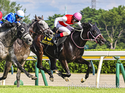 Shonan Xanadu