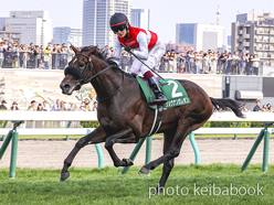 SELECT SALE GRADE RACE WINNER
