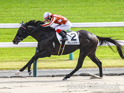 Allen Star