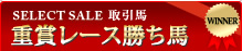 SELECT SALE取引馬 重賞レース勝馬