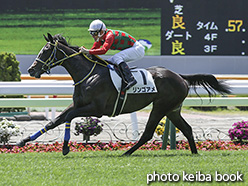 マツリダゴッホ産駒リンゴアメ号が２歳新馬戦を優勝 ニュース レックススタッド