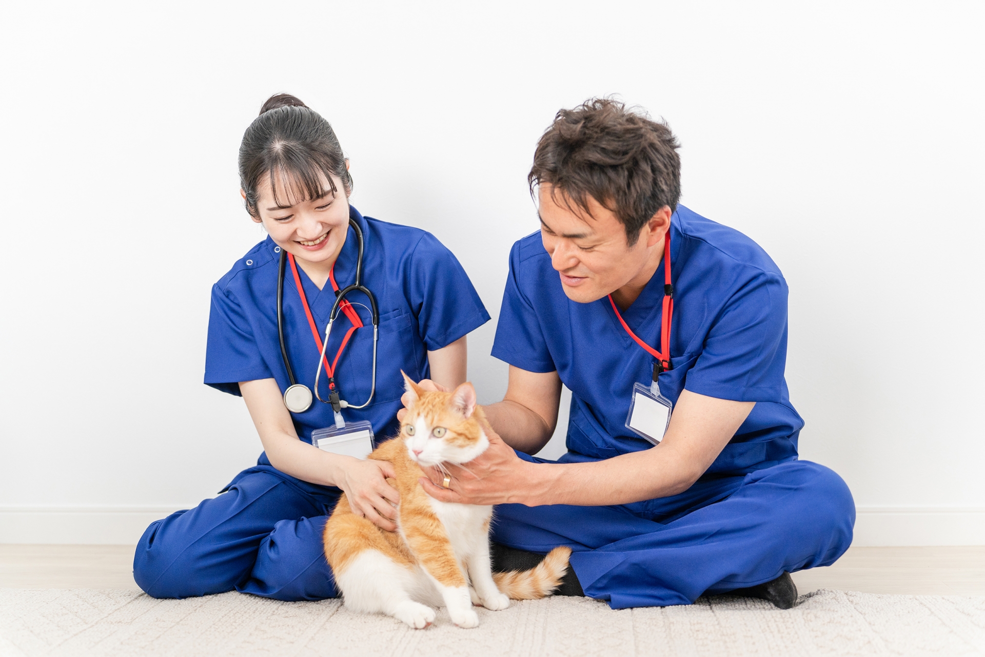 【無借金経営・道央エリア】動物病院