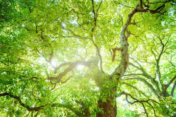 【中部地方】高齢者グループホーム、老人ホーム、デイサービス事業所