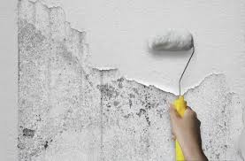 【安定成長/東海地方】塗装工事、屋根工事業