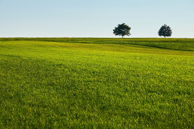 【首都圏/安定した収益・クライアント】緑化工事業