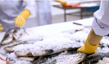 【関東地方/高い衛生管理体制】水産加工・卸売業