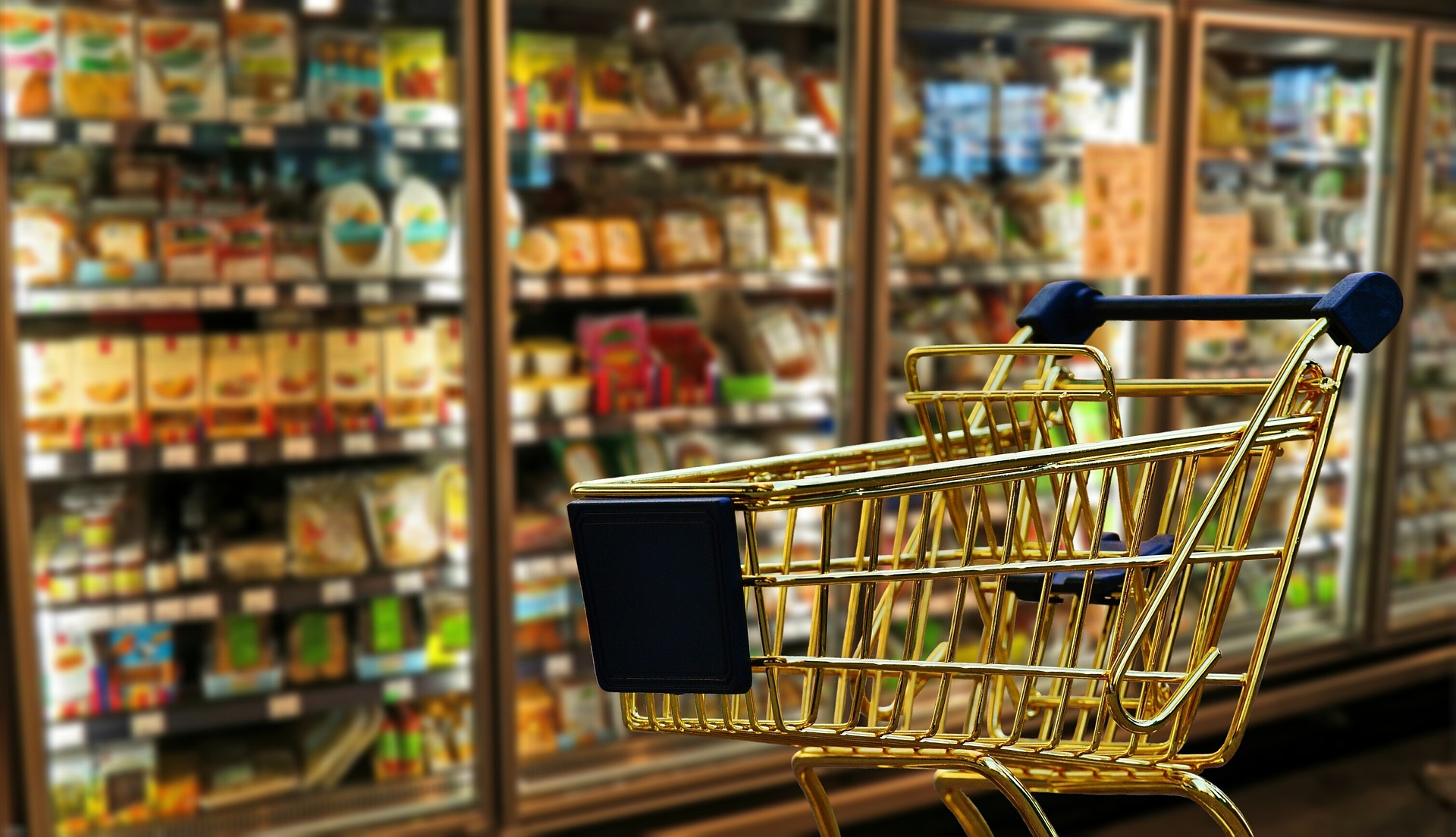 【ベトナム】大手食品小売 150店舗超/自社物流・鮮度管理システム保有