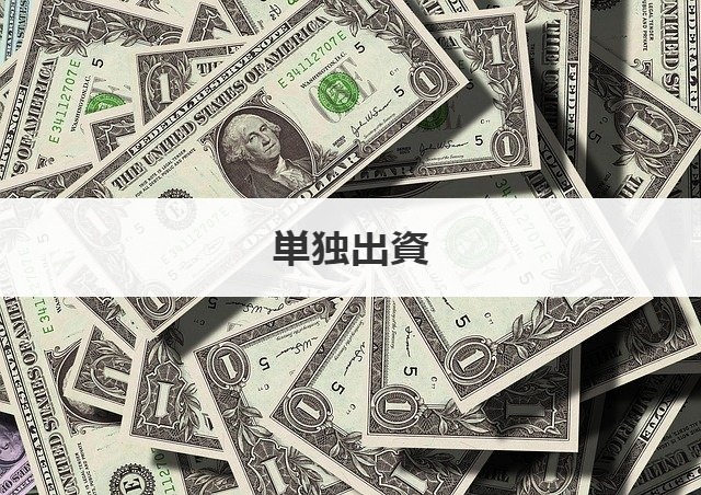 単独出資