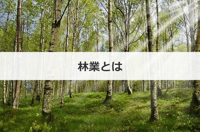 林業とは