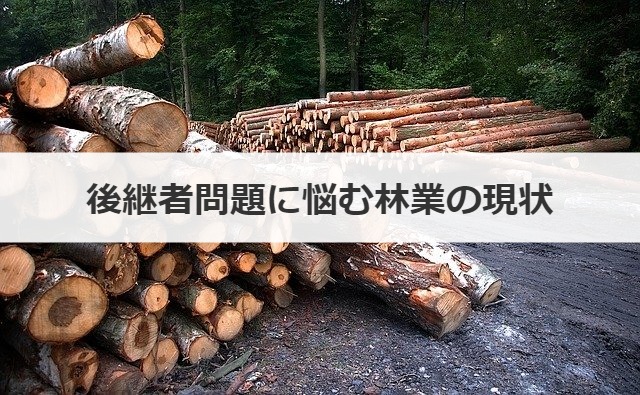 後継者問題に悩む林業の現状