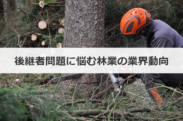 後継者問題に悩む林業の業界動向