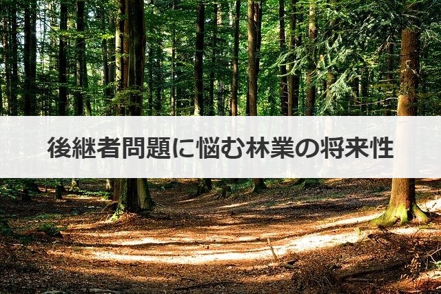 後継者問題に悩む林業の将来性