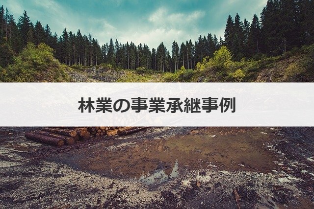 林業の事業承継事例