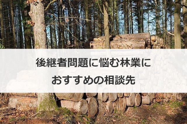後継者問題に悩む林業におすすめの相談先