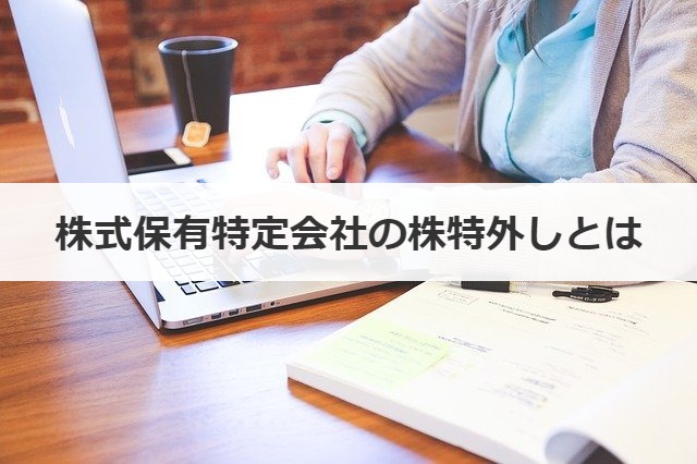 株式保有特定会社の株特外しとは