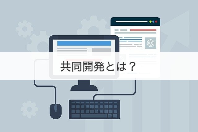 共同開発とは？