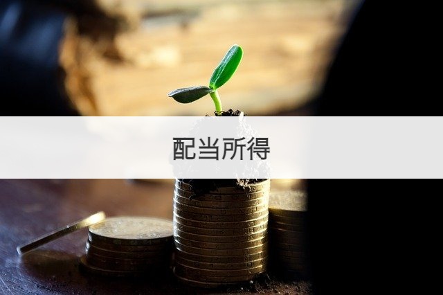 配当所得