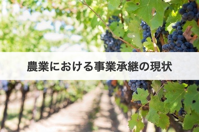 農業における事業承継の現状