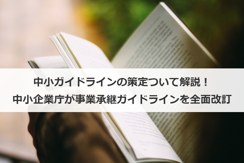 中小M&Aガイドラインとは？概要やポイント、ハンドブック、事業引継ぎガイドラインも解説