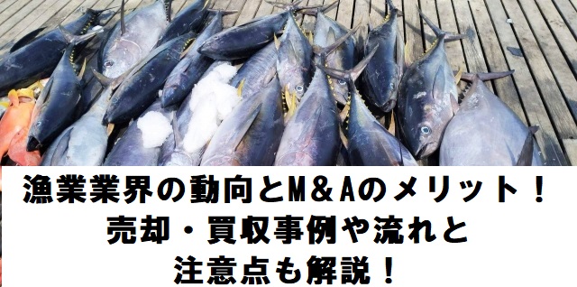 漁業業界の動向とM＆Aのメリット！売却・買収事例や流れと注意点も解説！