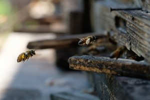 帰る と 返る と 還る の違いとは 意味や使い方を解説 言葉の意味の備忘録 帰る と 返る と 還る の違いとは 意味や使い方を解説 言葉の意味の備忘録